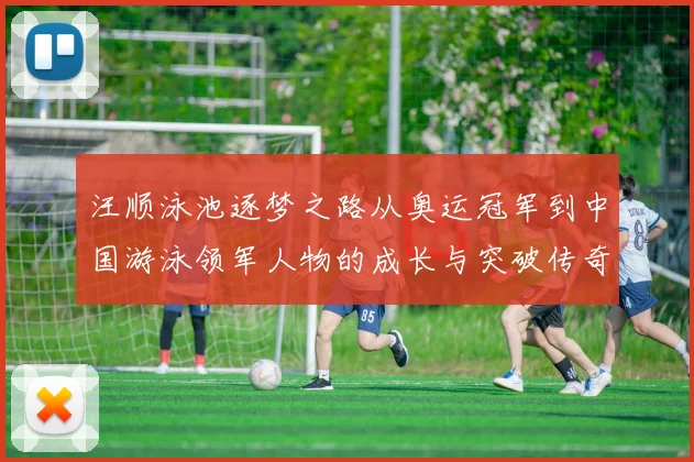 汪顺泳池逐梦之路从奥运冠军到中国游泳领军人物的成长与突破传奇