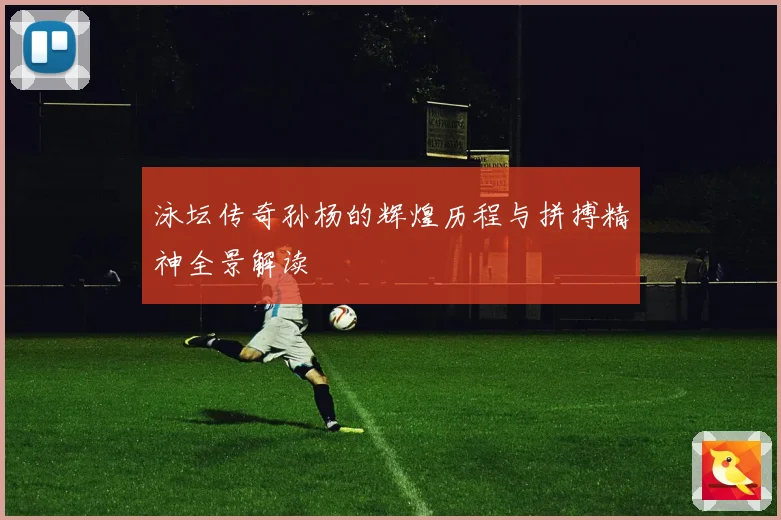 泳坛传奇孙杨的辉煌历程与拼搏精神全景解读