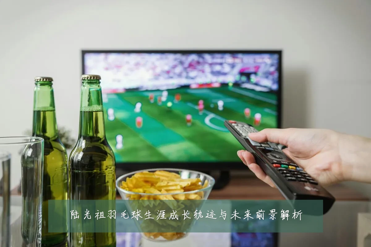 陆光祖羽毛球生涯成长轨迹与未来前景解析