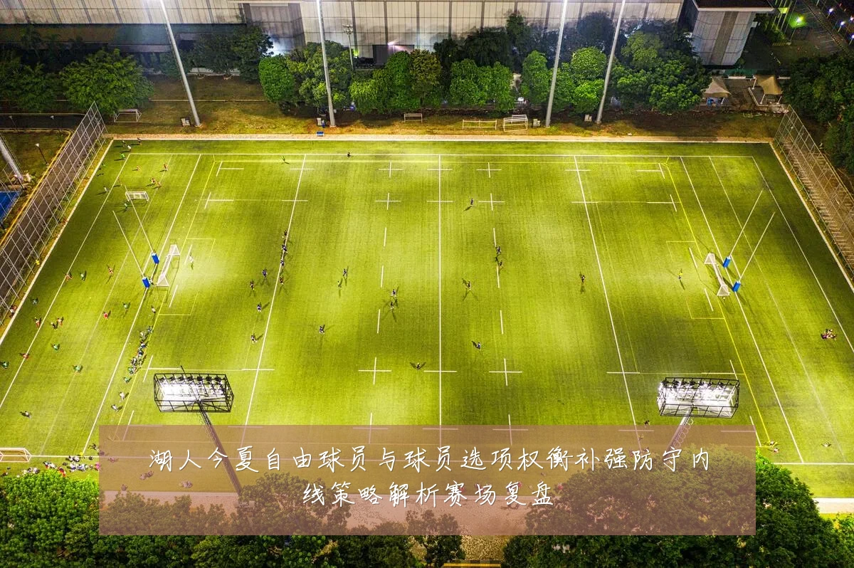 湖人今夏自由球员与球员选项权衡补强防守内线策略解析赛场复盘